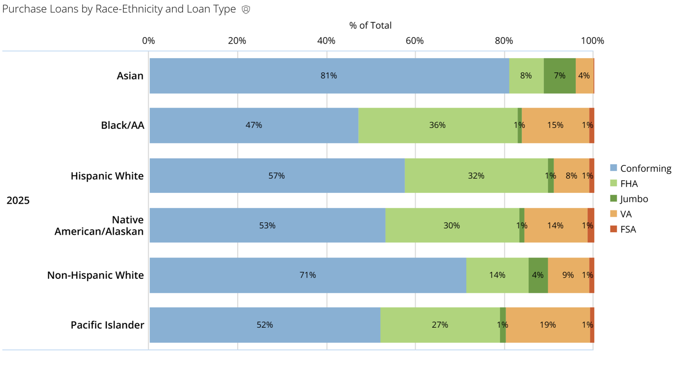 2025 Purchase Loan Type By RaceEthnicity