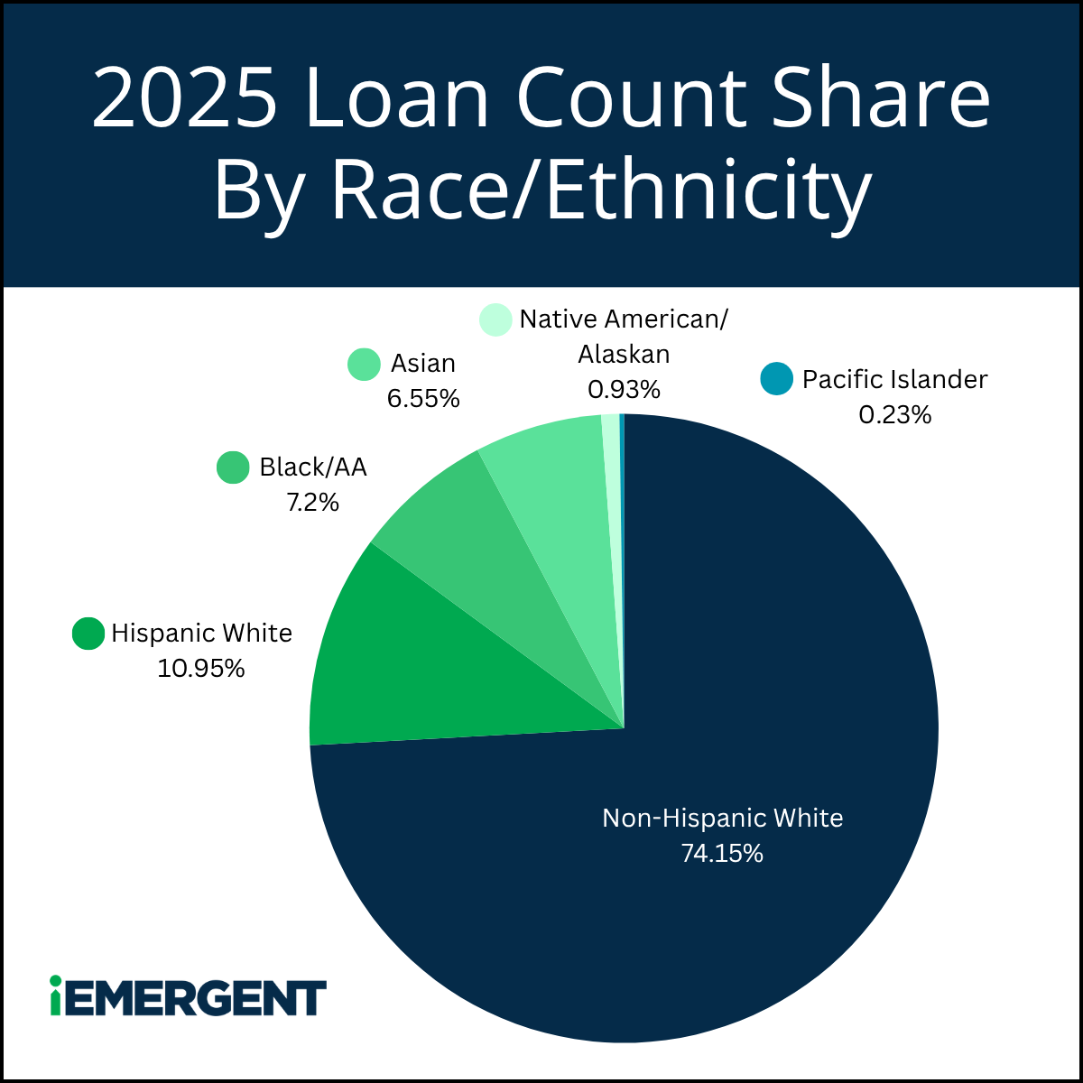 iEmergent 2025 HMDA Originations RaceEthnicity - Count