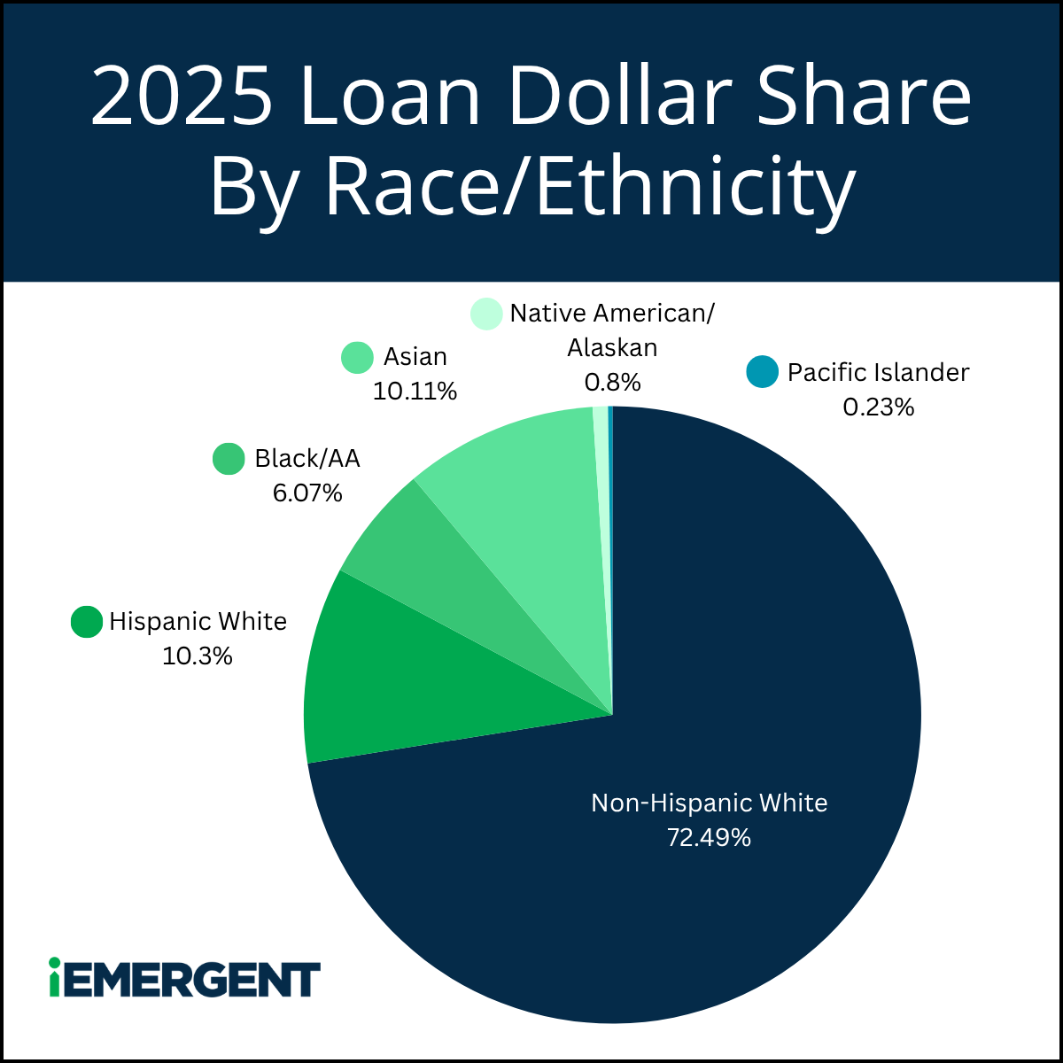 iEmergent 2025 HMDA Originations RaceEthnicity - Dollars