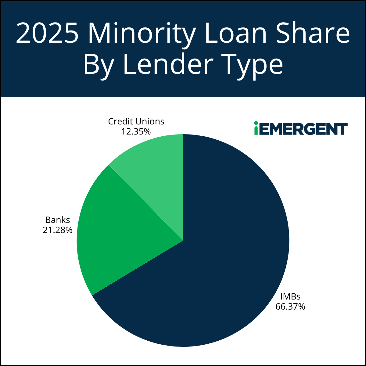 iEmergent 2025 Minority Lending By Lender Type