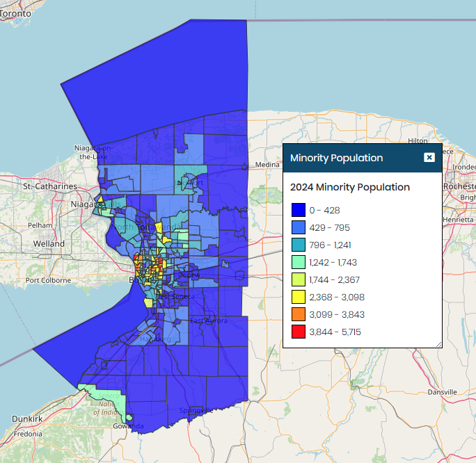 Buffalo Minority Population
