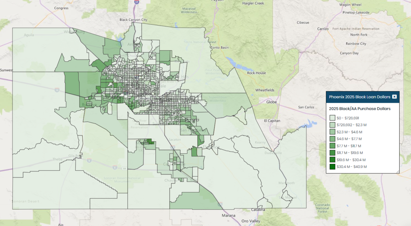 Phoenix 2025 Black Purchase Dollars Map